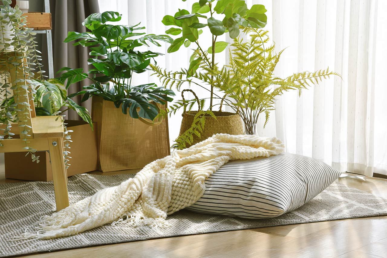 Pillow and soft blanket in relaxing living room with warm natural light and houseplants