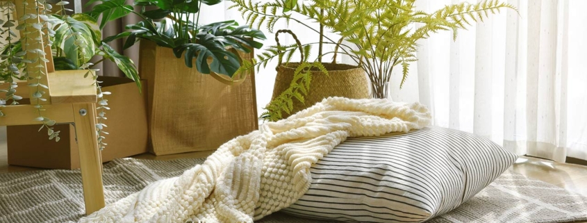 Pillow and soft blanket in relaxing living room with warm natural light and houseplants