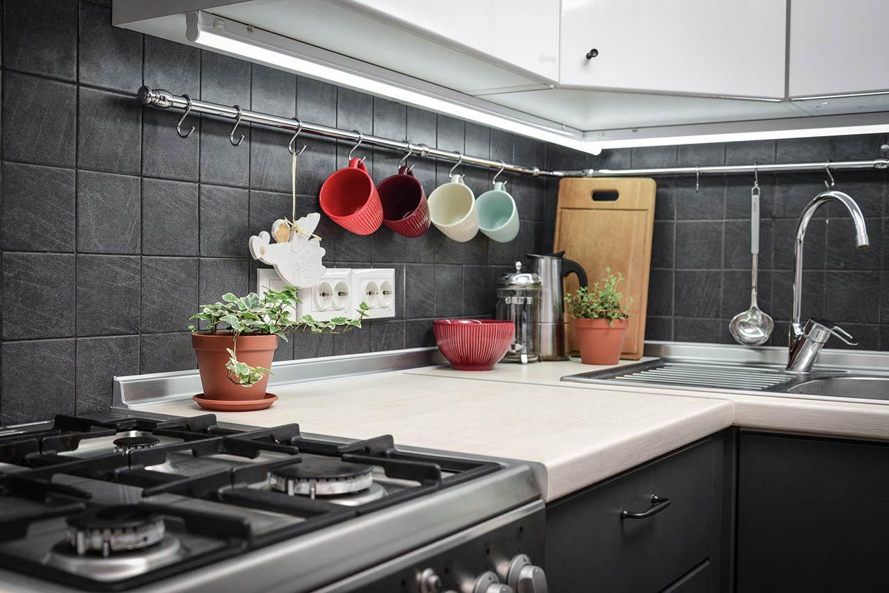 Small modern kitchen with rail system and kitchen utensils and houseplant