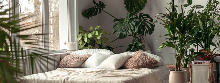 Cozy bright bedroom with indoor plants