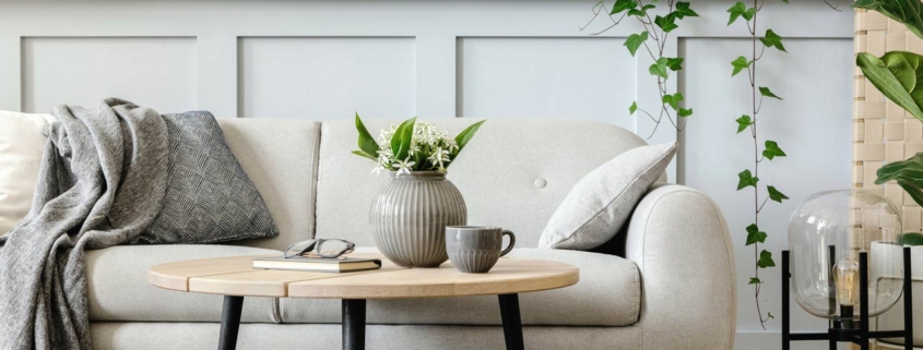 Living room interior with design grey sofa, wooden coffee table, tropical plants, shelf, mirror, furniture, plaid pillow, teapot, book and elegant personal accessories