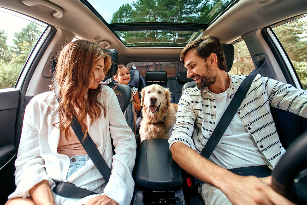 Family with dog in the car stock photo